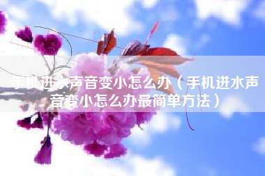 手机进水声音变小怎么办(手机进水声音变小怎么办最简单方法)